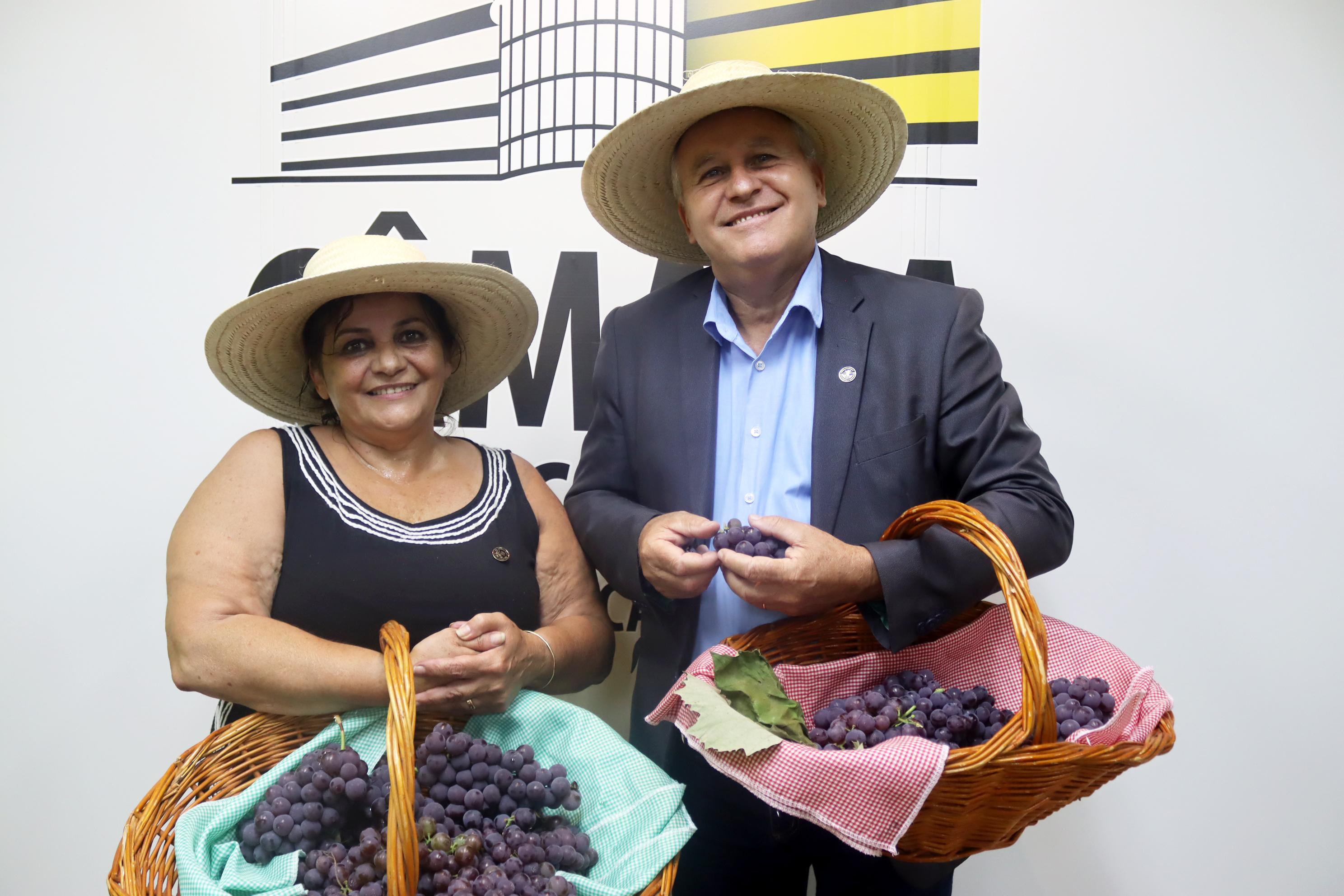 Comissão de Agricultura do Legislativo promove distribuição de uvas ao público
