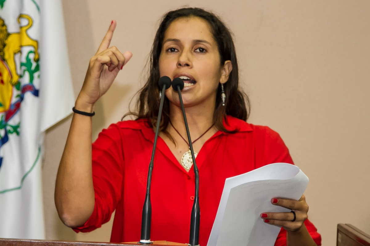 Vereadora Denise Pessôa questiona projetos de repasse inflacionário a subsídios do prefeito, vice e secretários
