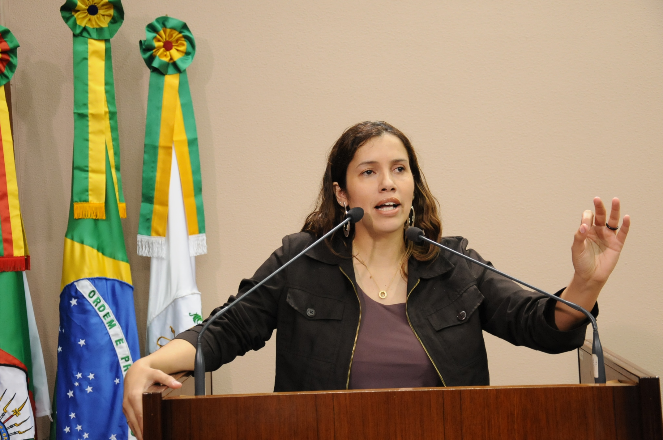 Denise Pessôa convida os Vereadores para  encontro que debaterá o carnaval em Caxias