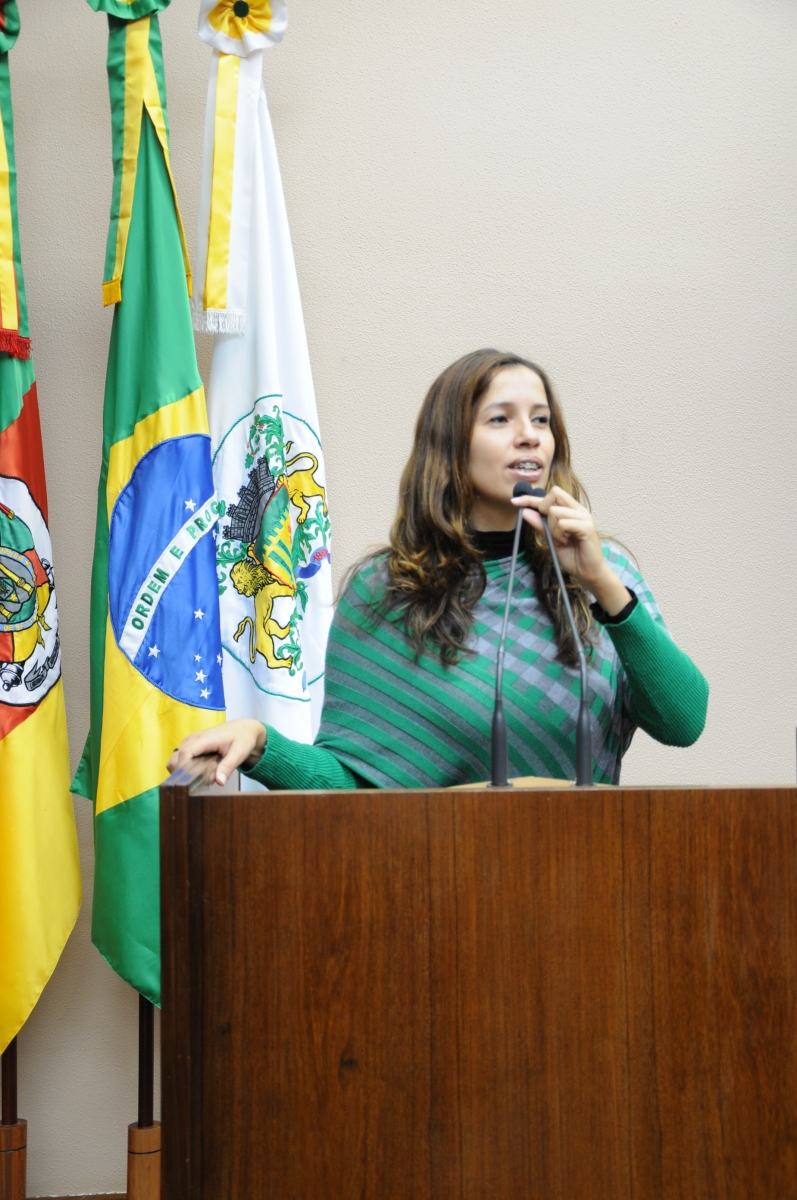 Denise Pessôa destaca trabalho da Comissão de Direitos Humanos  