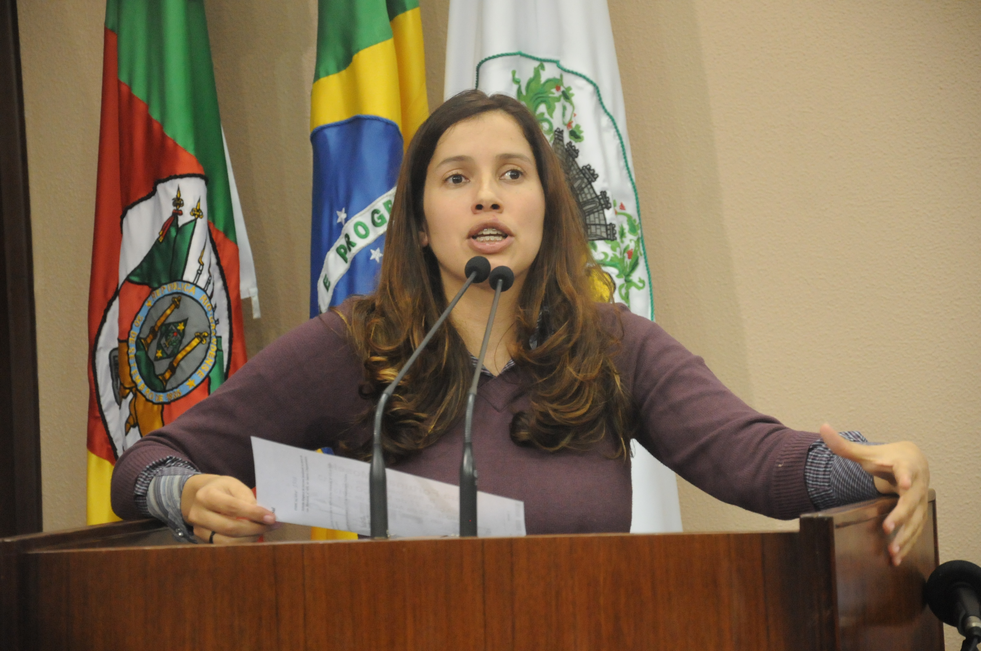 Leia mais sobre Denise cobra maior atenção da Secretaria de Obras ao bairro São José