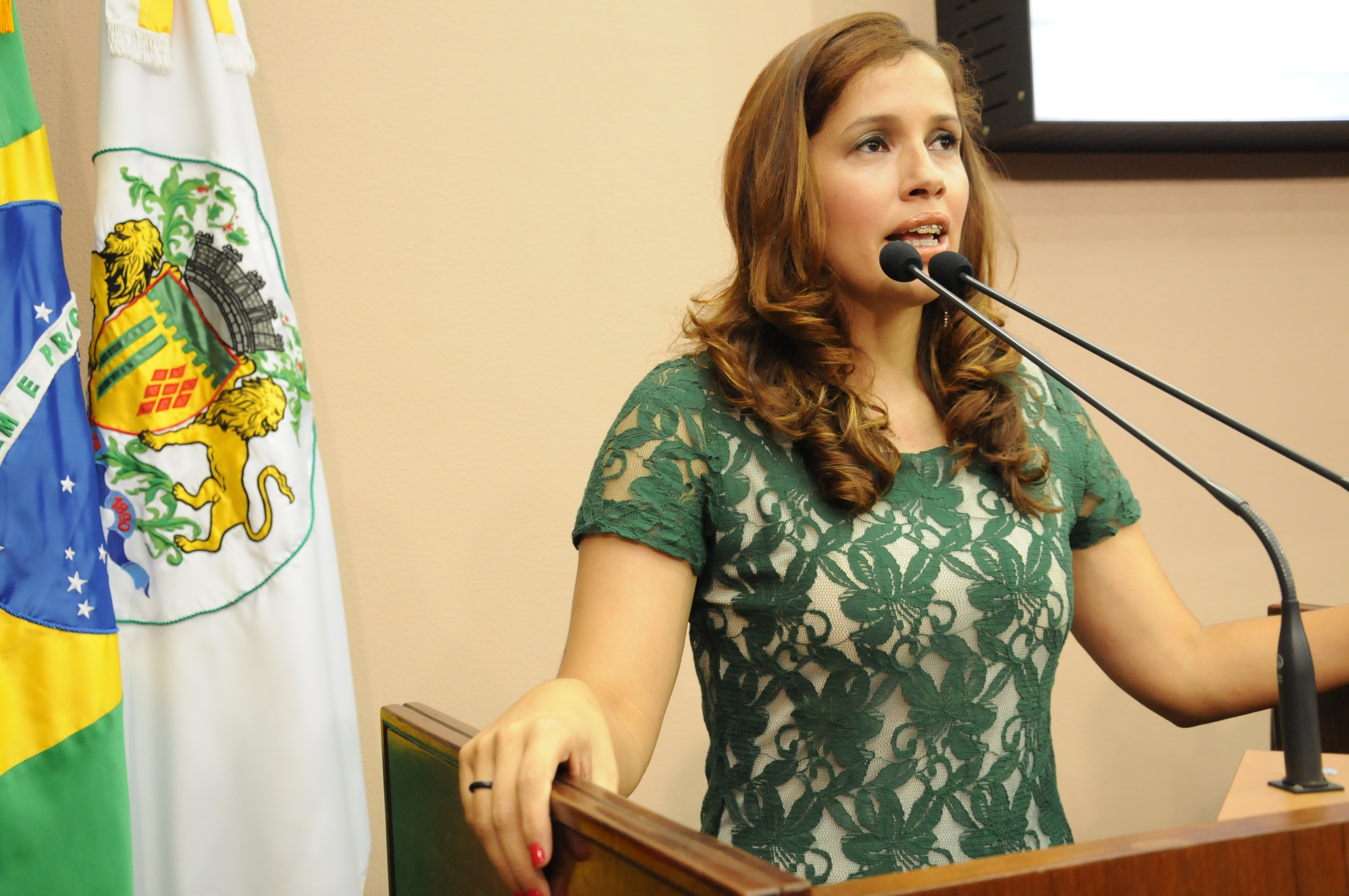Denise busca agilizar demandas de Caxias do Sul junto ao governo do Estado