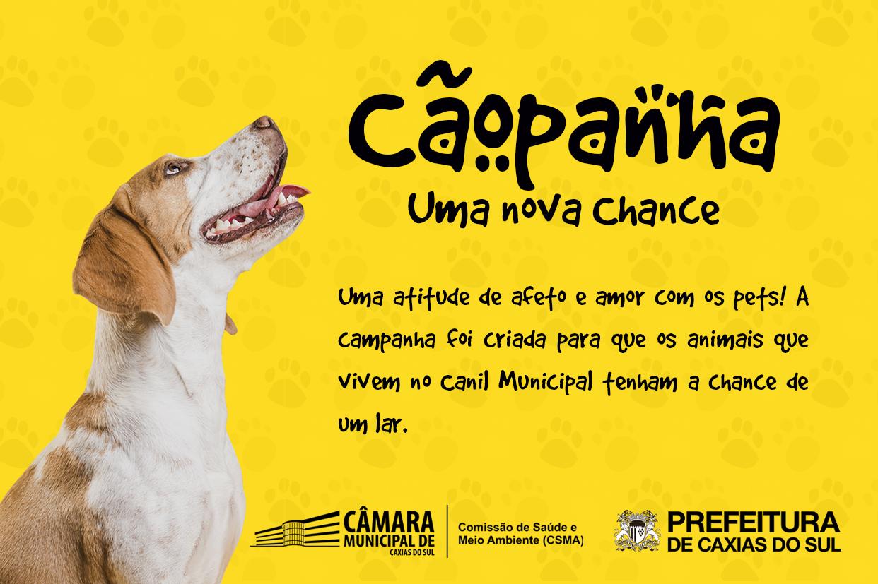 Comissão de Saúde do Legislativo apoia causa de adoção de animais do Canil Municipal 