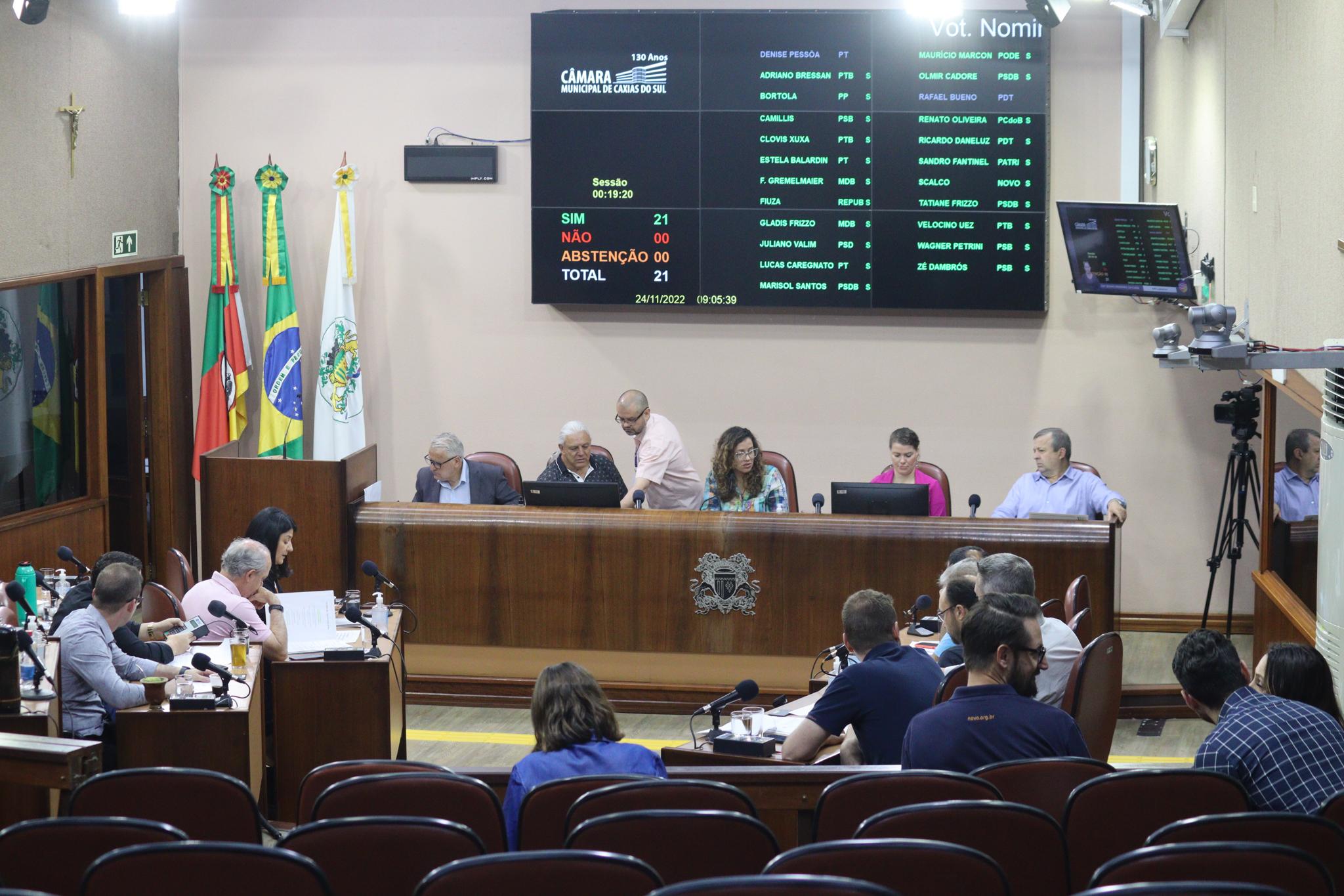 Projeto que proíbe a criação e alimentação de pombos na zona urbana de Caxias é aprovada no Legislativo