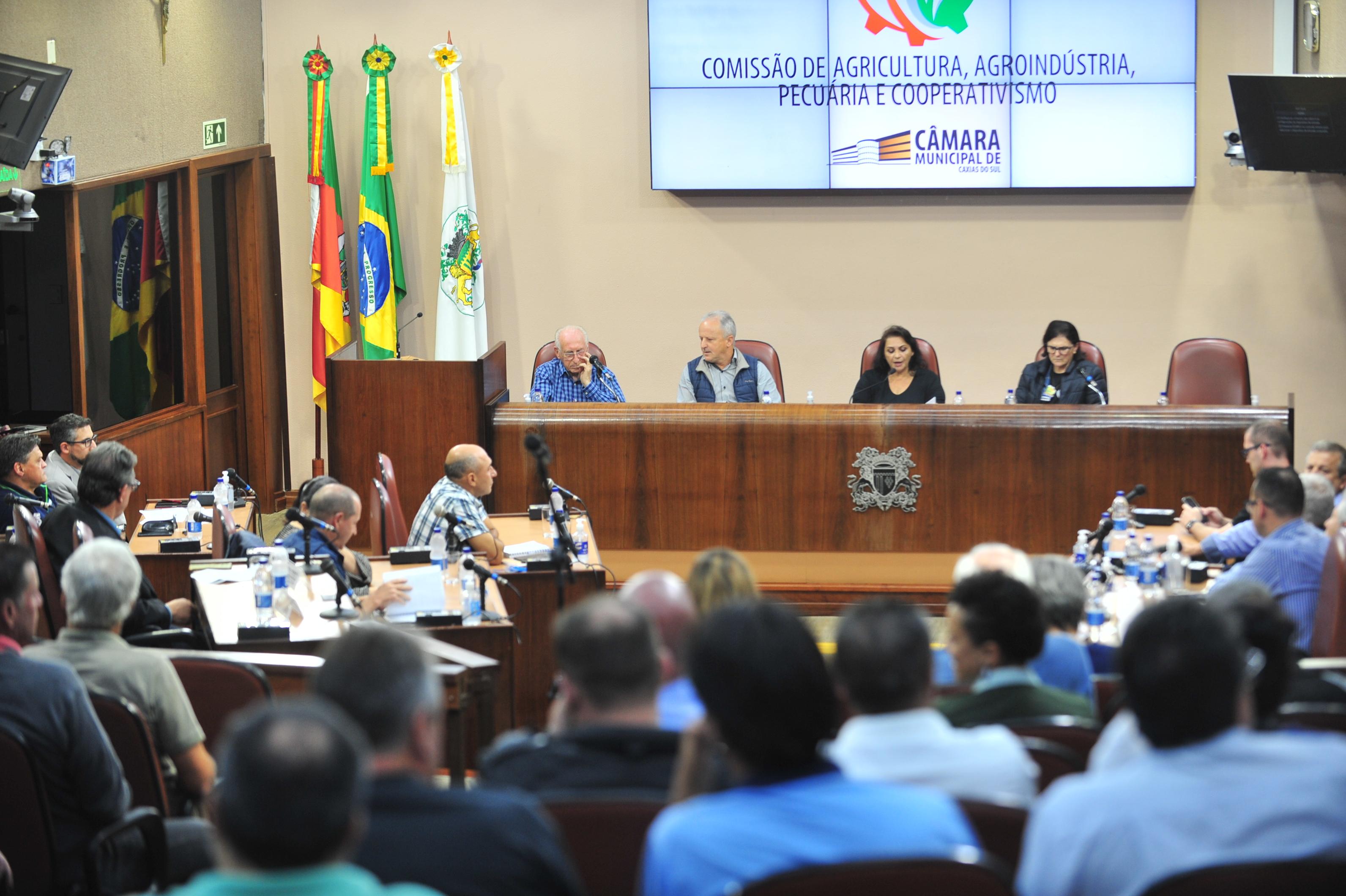 Comissão de Agricultura traça panorama de trabalho para auxiliar em demandas do Interior