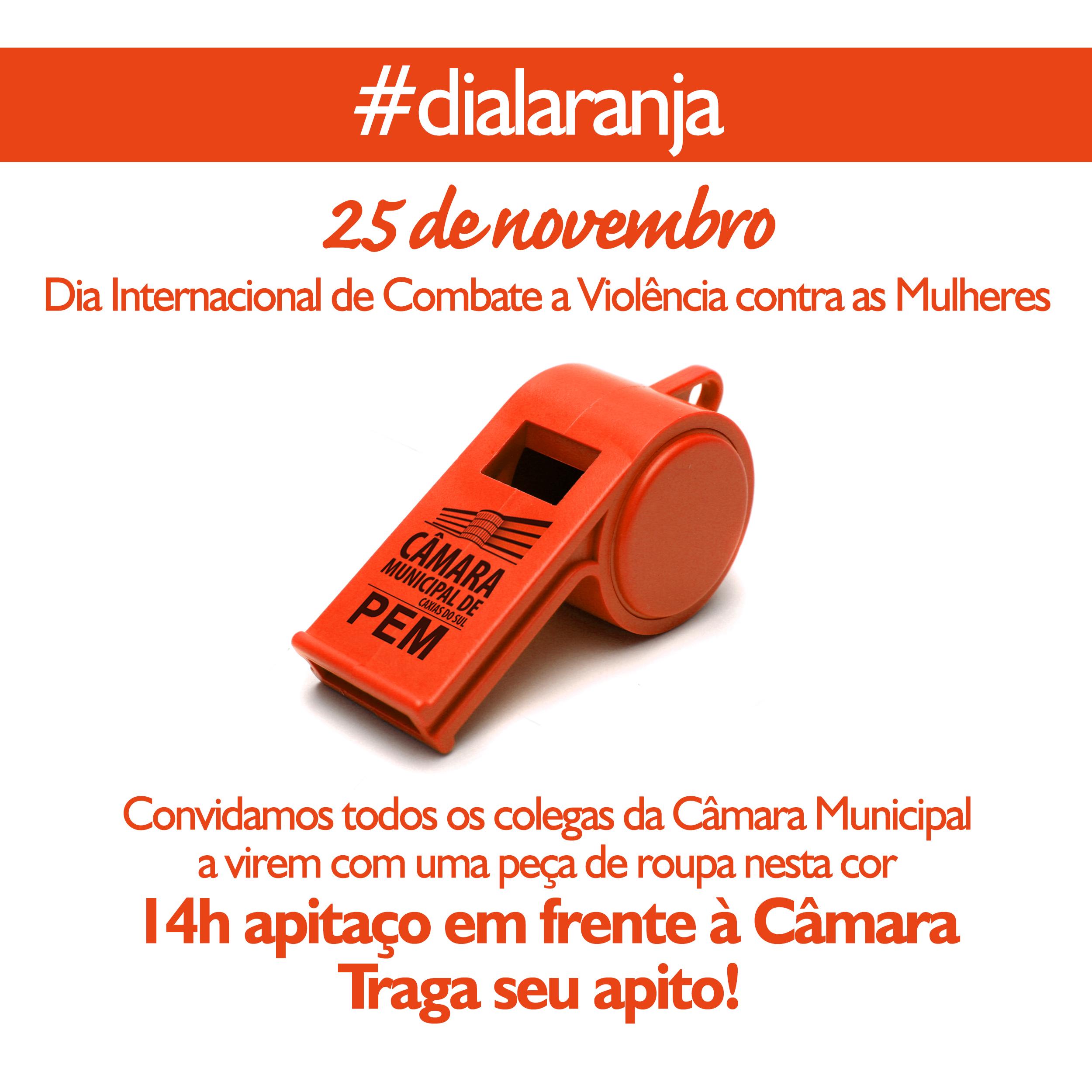 Câmara promove #DiaLaranja em referência ao Dia Internacional para Eliminação da Violência contra Mulheres