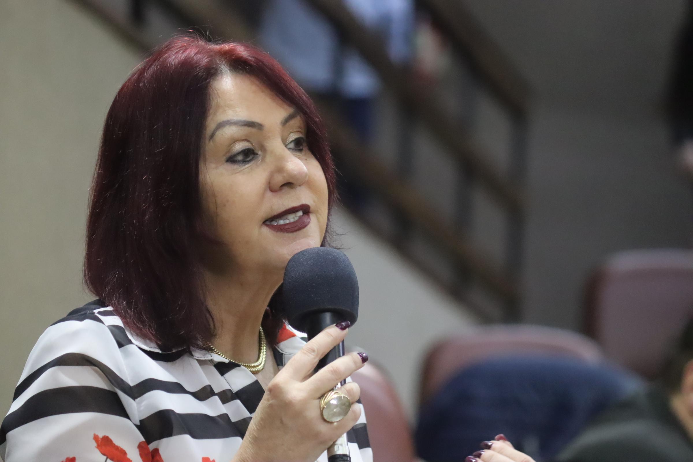 Plenário indaga sobre embargo da quadra na Escola Governador Roberto Silveira