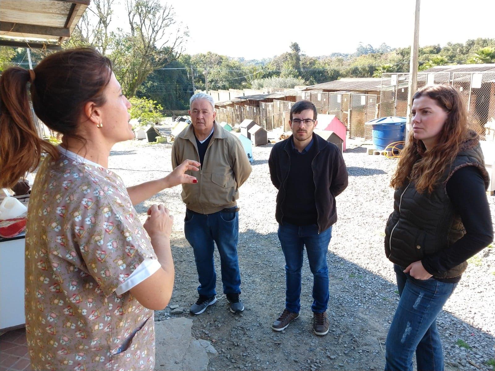 Comissão de Saúde e Meio Ambiente retorna ao Canil Municipal para vistoriar melhorias emergenciais