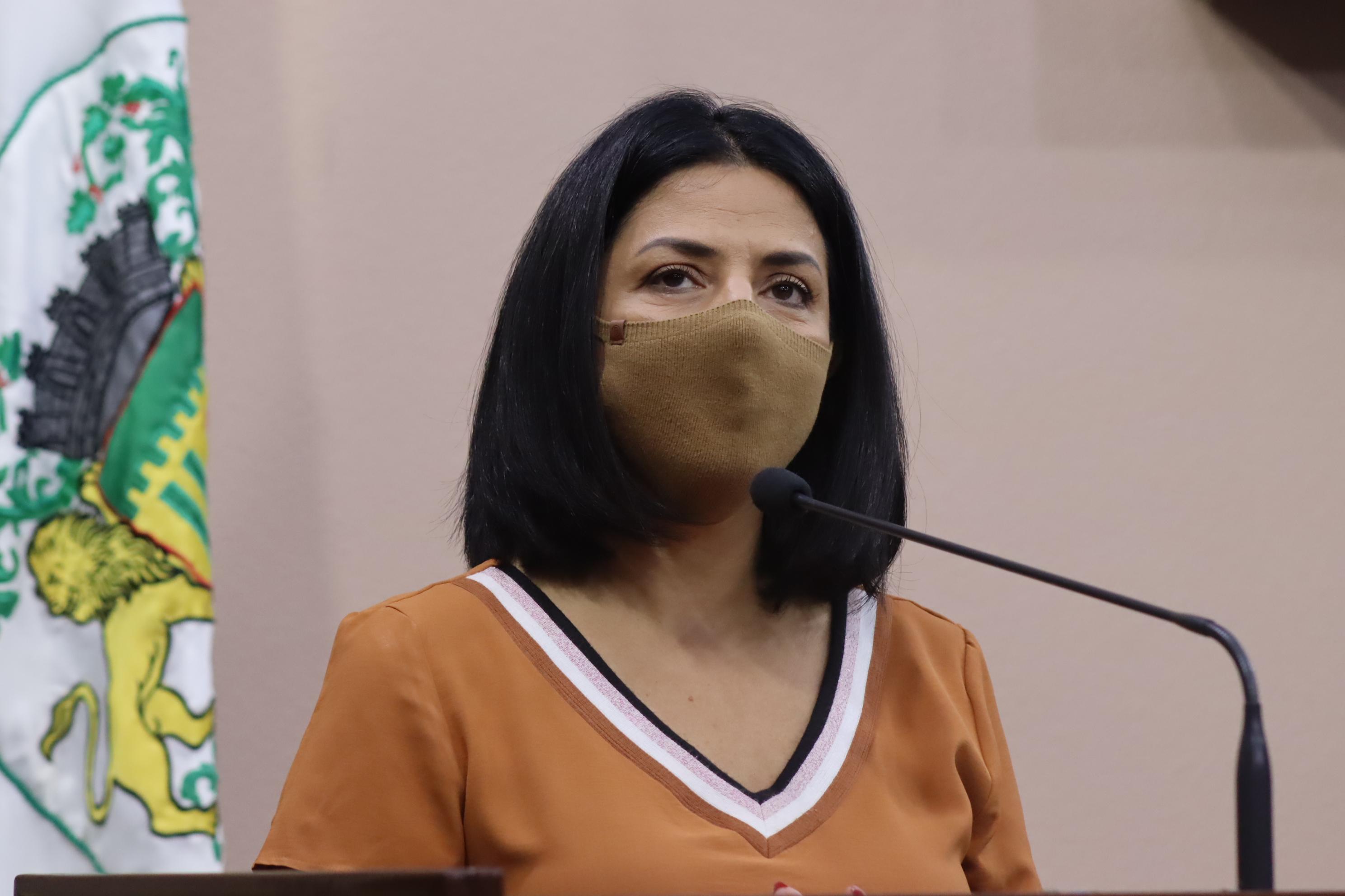 Marisol Santos destaca os resultados da audiência pública da Frente Parlamentar das Altas Habilidades